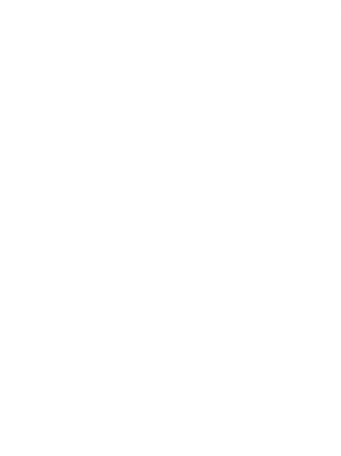 logo representing a white outline of a viking